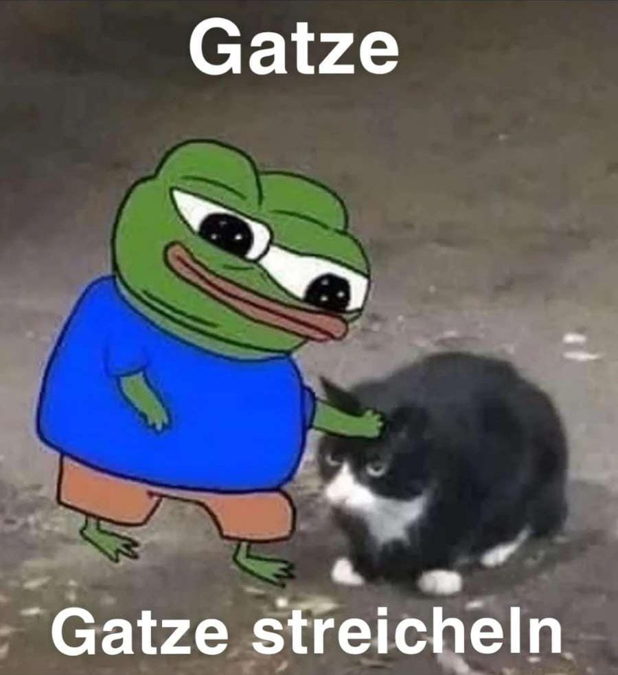 gatze1.jpg